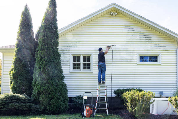 Best Patio and Deck Pressure Washing  in Lexington, KY